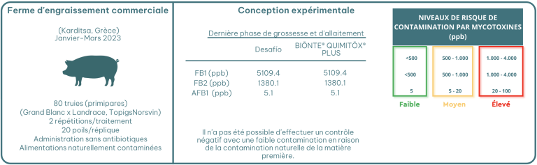 Figure 1. Conception expérimentale des deux tests.